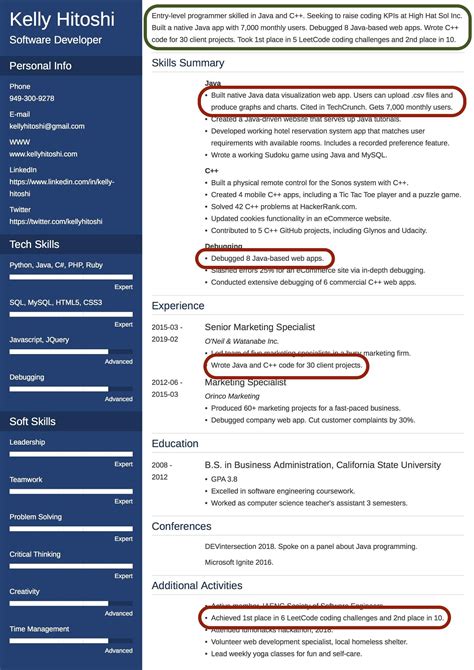 c.v summary examples