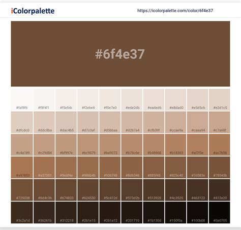 cafe color code