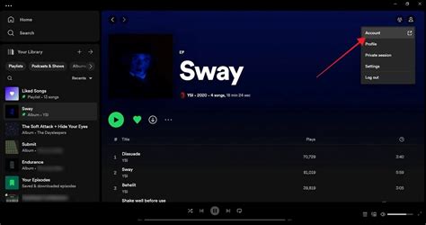 can't access spotify account
