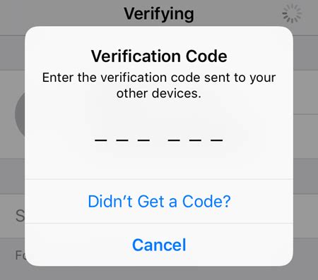 can't get past apple id verification code