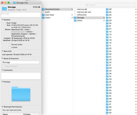 can i delete spotify persistent cache