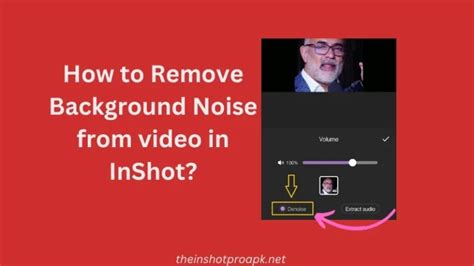 can i remove background noise from video in inshot