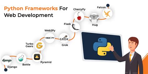 can i use python on a website