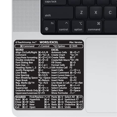 can i use word and excel on mac