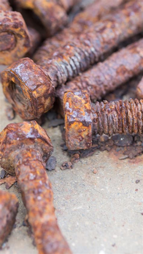 can iron rust in the body