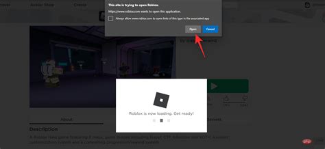 can roblox run on windows 10 pro