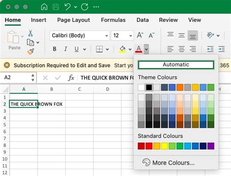 can t type in excel sheet