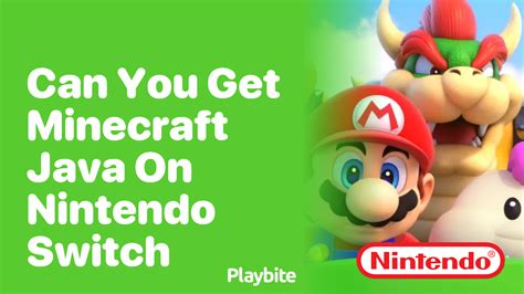 can u get minecraft java on switch