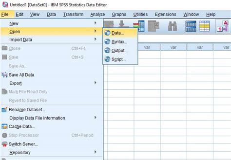 can you convert excel to spss