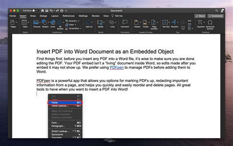 can you copy and paste a pdf into word