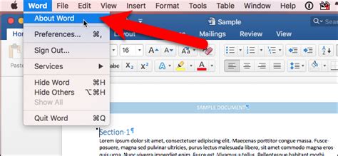 can you get word and excel on macbook