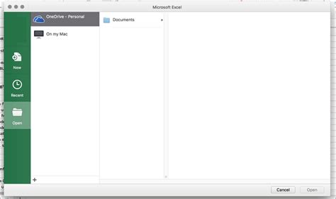 can you open excel on a mac