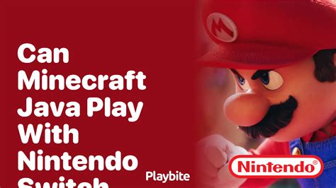 can you play java on nintendo switch