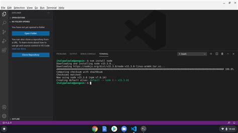 can you run javascript on chromebook
