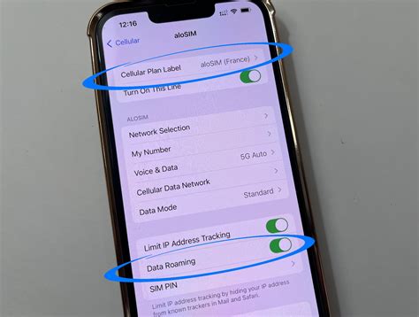 can you send text messages with data roaming off