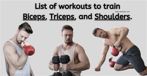can you train biceps and triceps in the same day