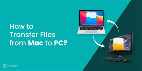 can you transfer data from apple to windows