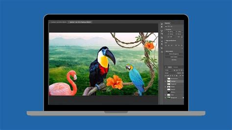 can you use adobe cc on multiple computers