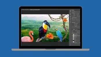 can you use adobe on multiple computers