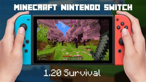 can you use commands in minecraft nintendo switch