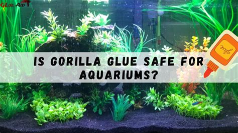 can you use gorilla glue in a fish tank