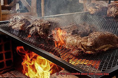 can you use silver maple to smoke meat