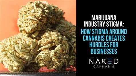 Cannabis Industry Stigma