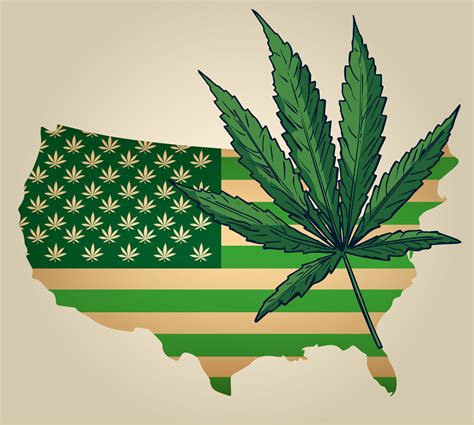 cannabis regulations