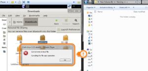 cannot open file on virtual machine canceling the file copy operation