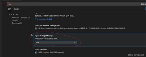 cannot run npm in visual studio code