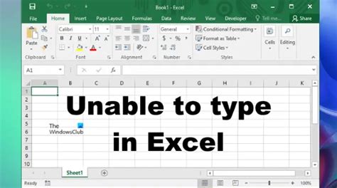 cannot type in excel spreadsheet