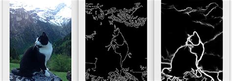 canny edge detection algorithm opencv