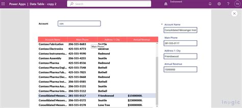 canvas app format date