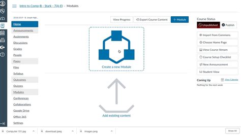 canvas deactivate user vs remove from course