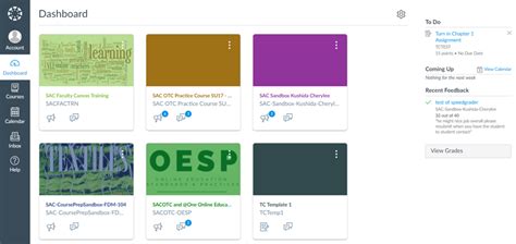 canvas student change language