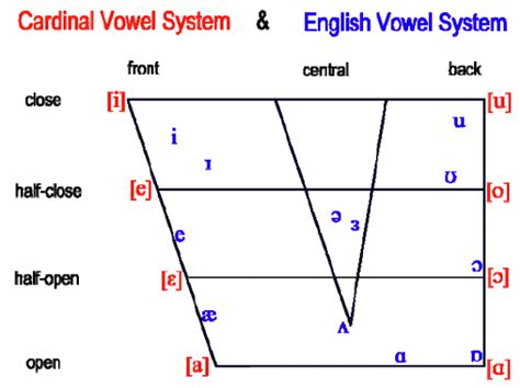 cardinal vowel chart with examples
