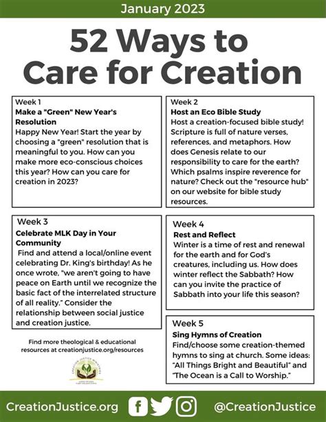 care for god's creation examples