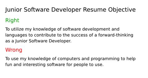 career objective for junior software developer