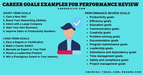 career performance objectives examples