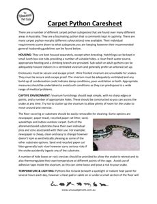 carpet python care sheet uk