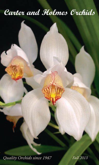 Carter And Holmes Catalog