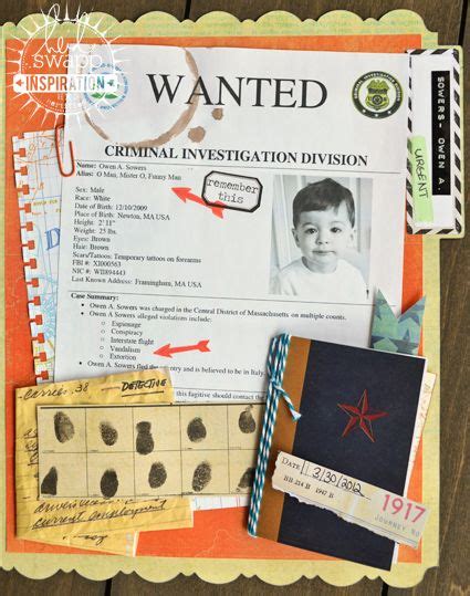 case file project examples