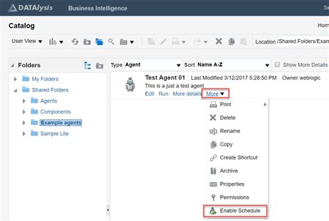 Catalog Folder Path In Obiee 12c