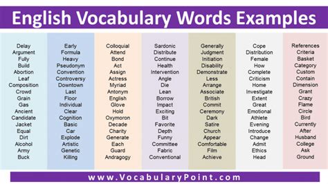 categories of vocabulary with examples