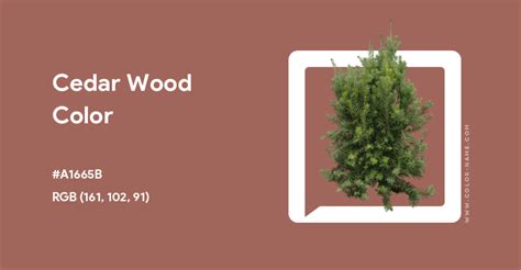 cedar wood color hex code