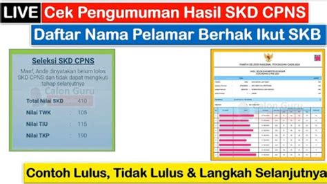 cek hasil cpns