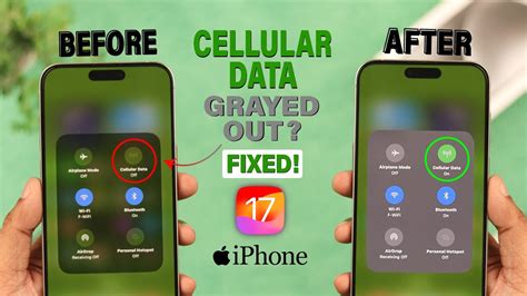 cellular data on iphone greyed out