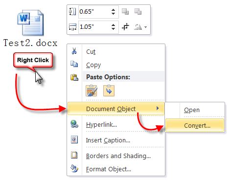 change icon of embedded object in word