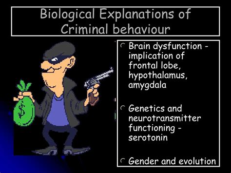 characteristics of criminal behaviour