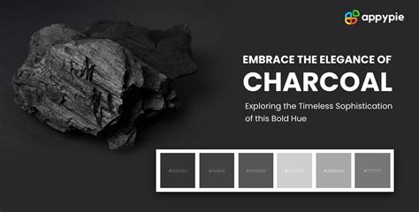 charcoal colour code